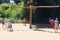 1461